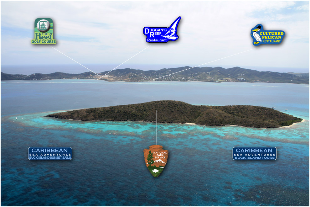 Buck Island St. Croix
