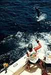 Catching a Marlin