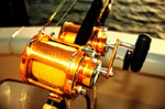 Reel