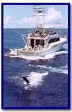 Catching a Blue Marlin