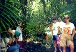 Rainforest Hike