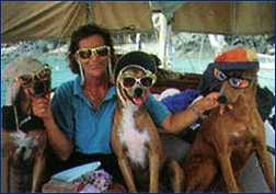 Dogs on Yacht NIGHTWIND