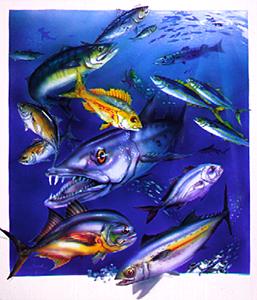 Mid Water Fish Scene