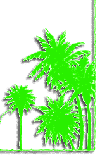 Palm Art