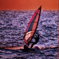 Windsurfer